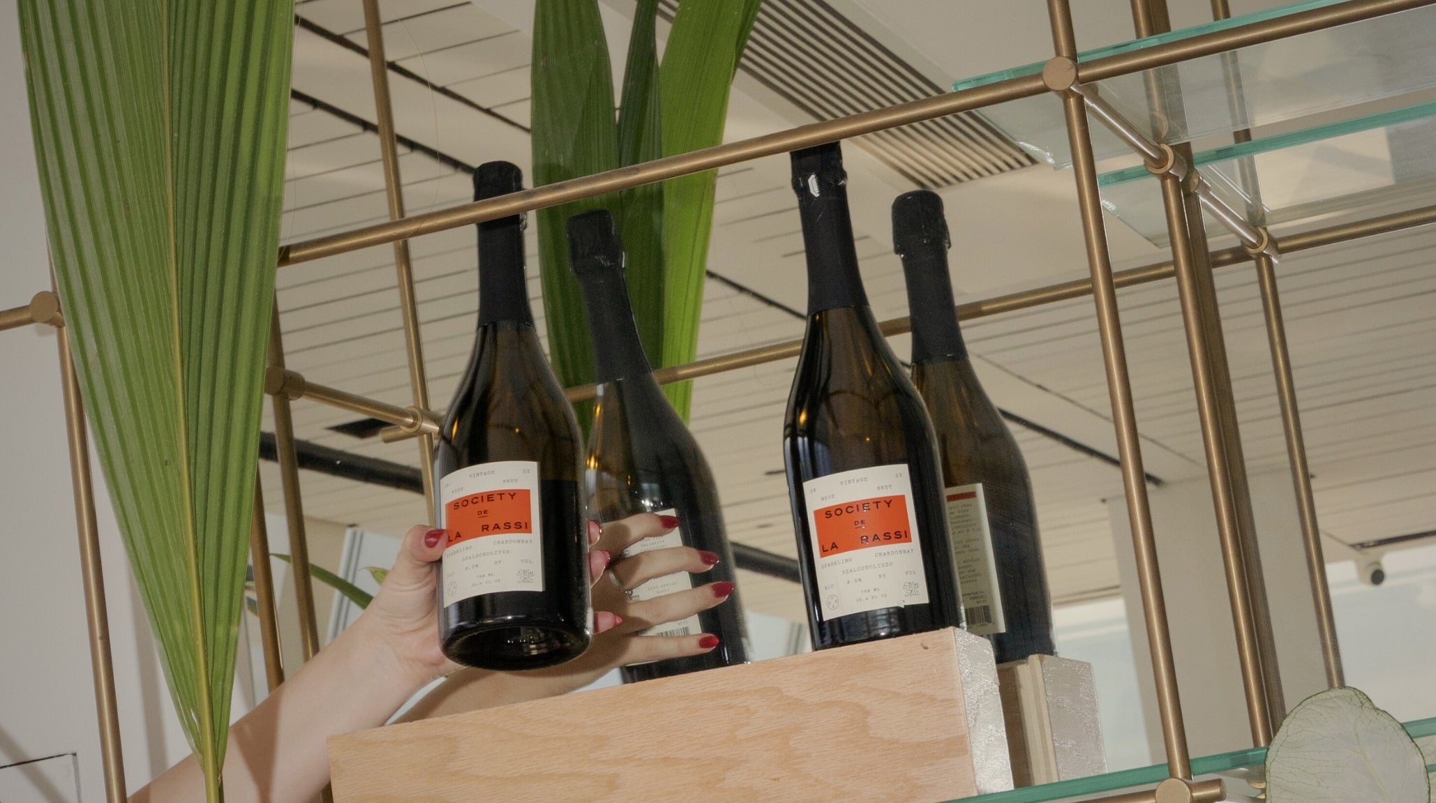 Wine bottles with labels held by a hand in front of a mirror with decorative plants.