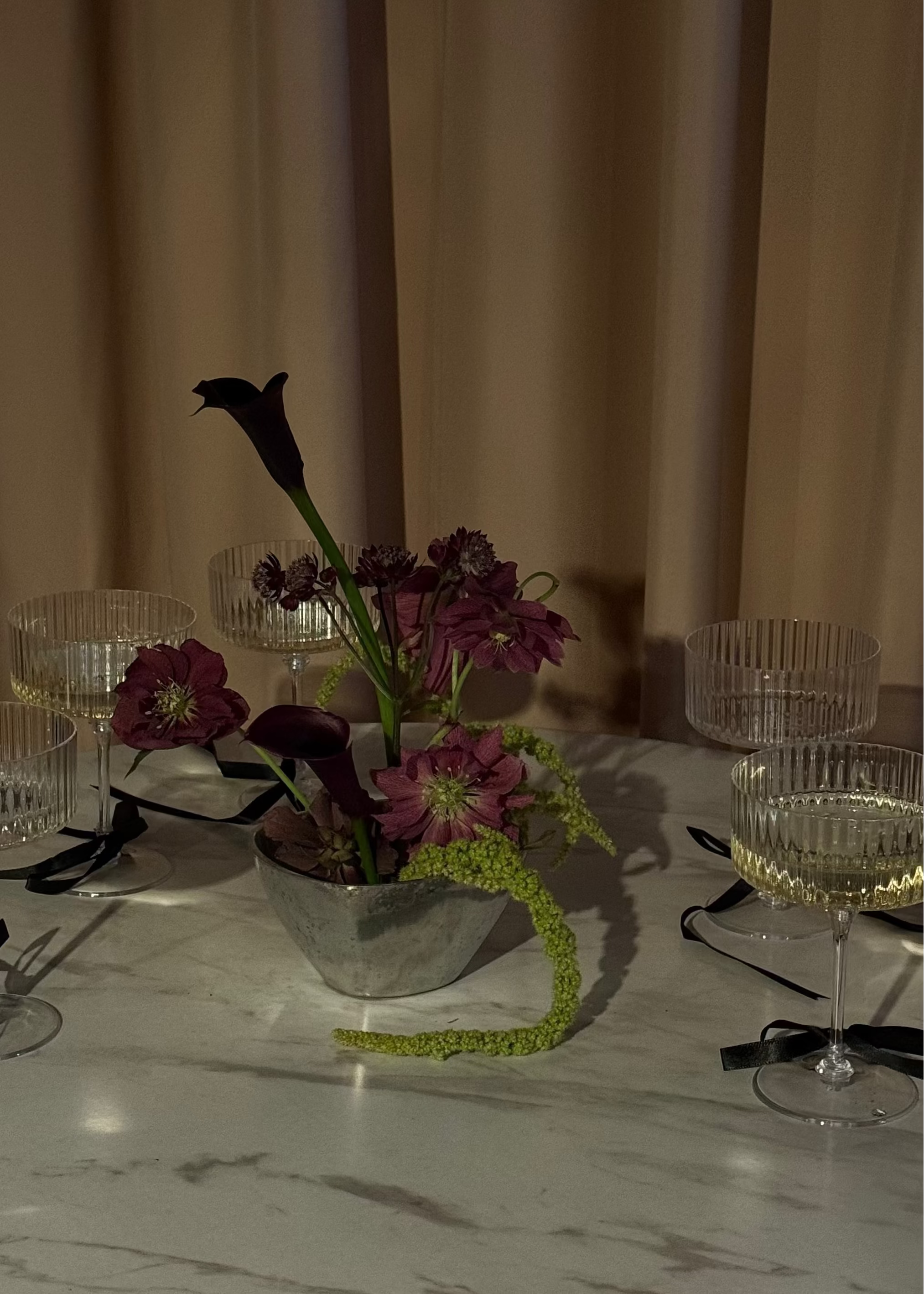 Reflections on Our First Year