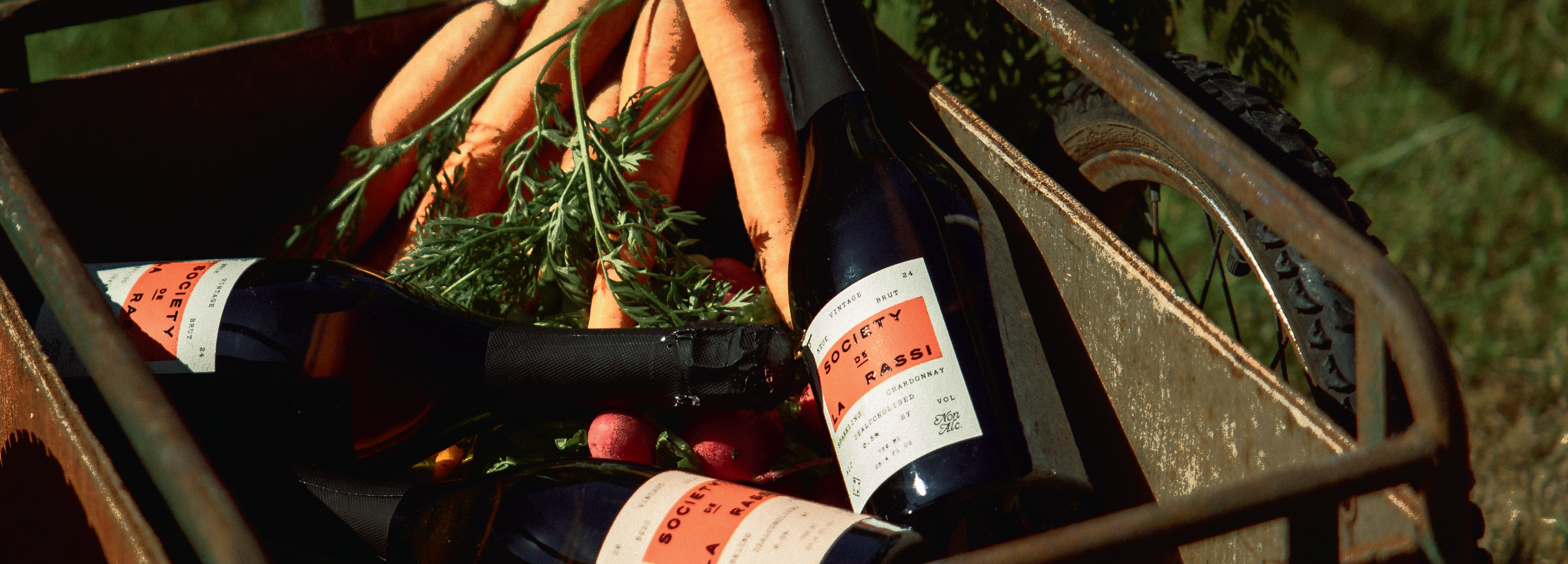 NA wine bottles with labels on a rustic wooden surface with vegetables.