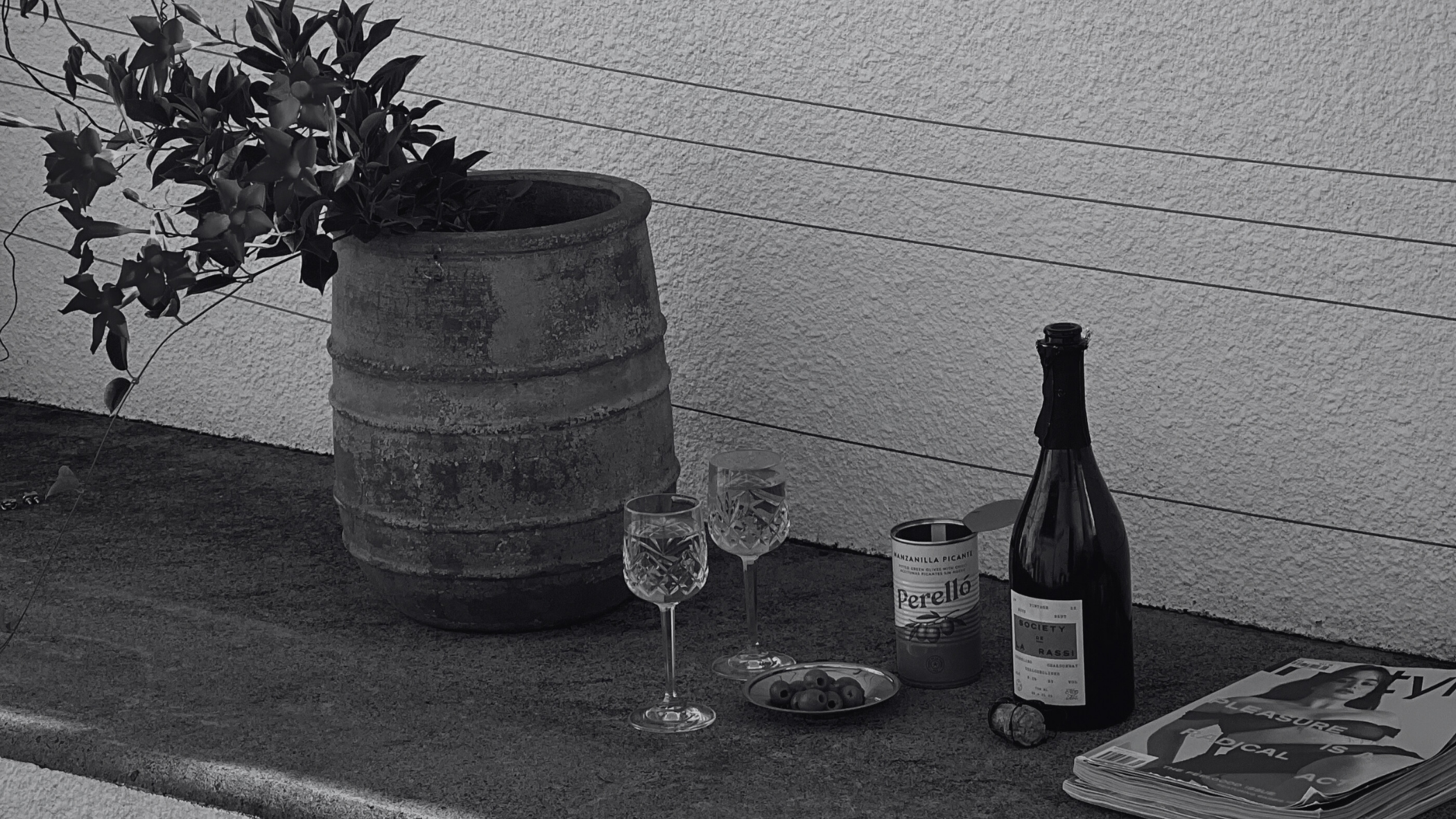 Wine bottle, glasses, and a can on a table with a plant and newspaper in the background.