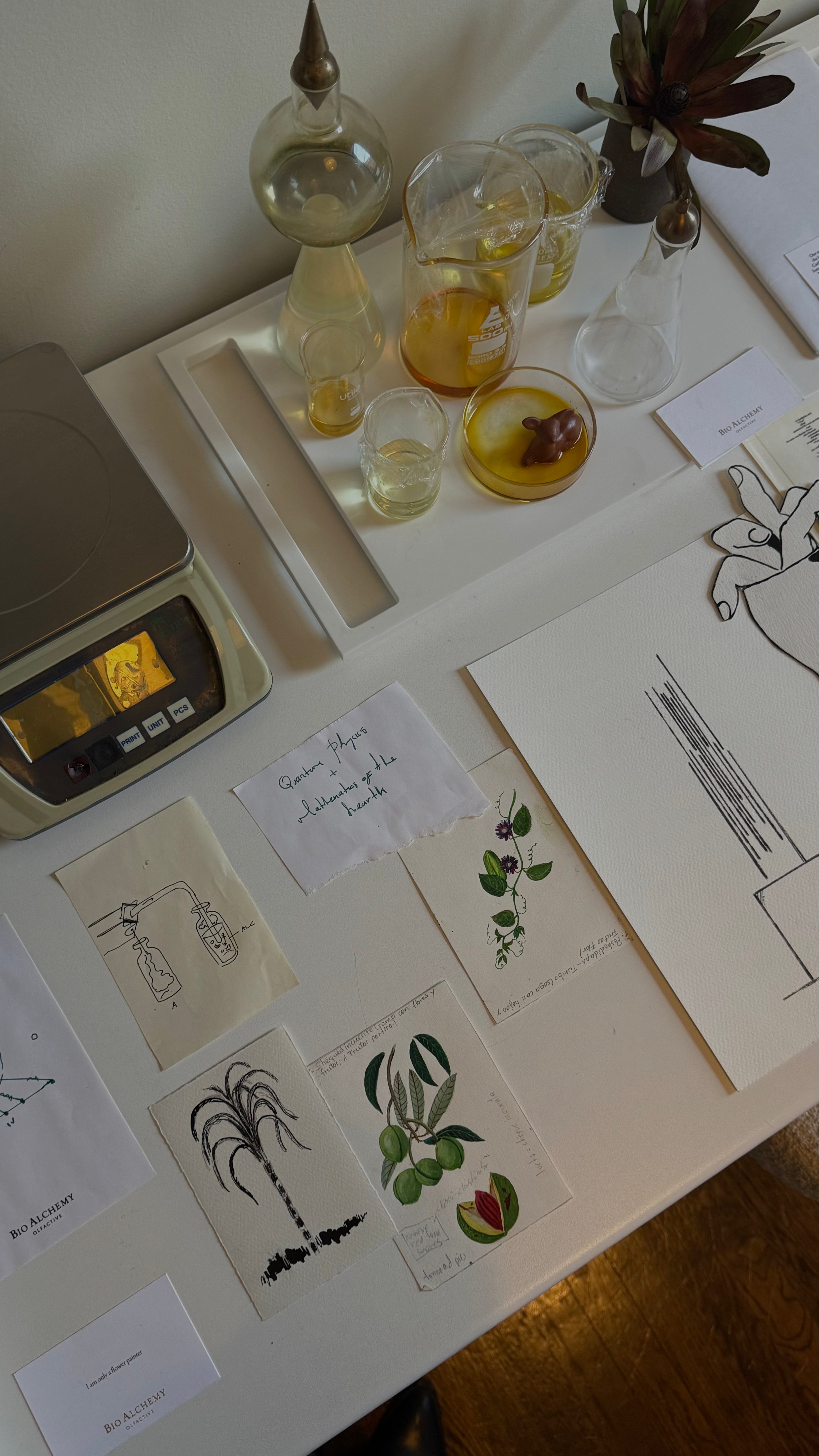 Table with botanical illustrations, glasses, and a scale on a wooden floor.